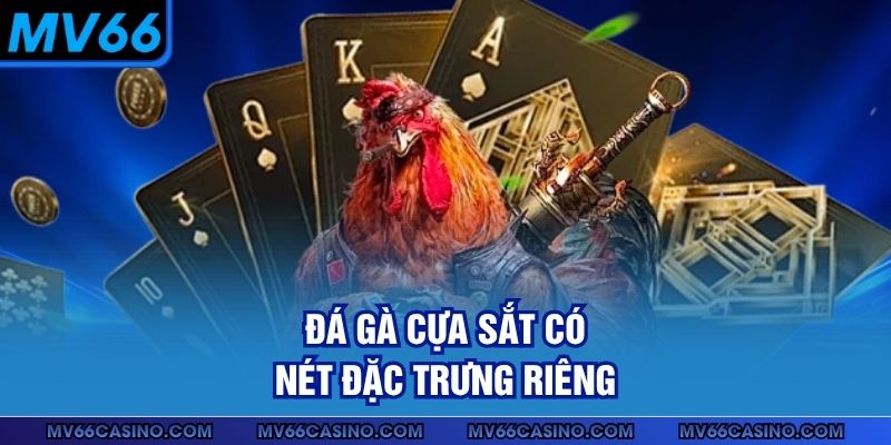 Đá gà cựa sắt có nét đặc trưng riêng
